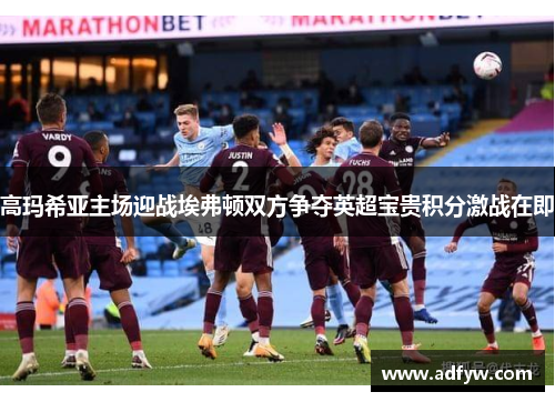 高玛希亚主场迎战埃弗顿双方争夺英超宝贵积分激战在即
